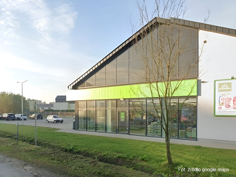 stokrotka koninko duze