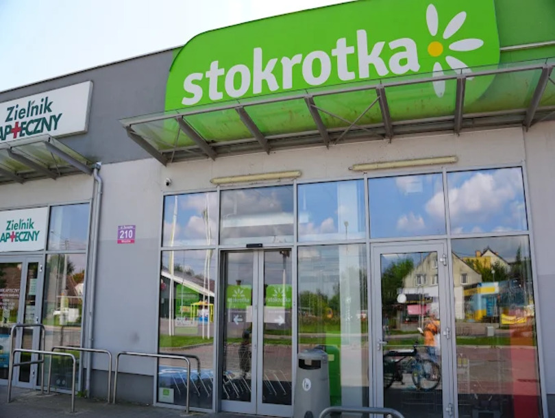 1449 stokrotka duza