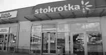 1449 stokrotka mala